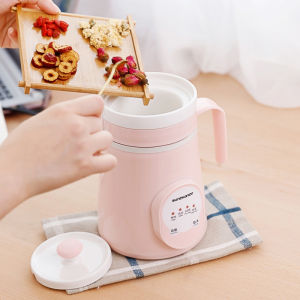 Electric Cooker Baby Porridge Mini Automatic Baby Food Supplement BB Soup Pot Ceramic Stew