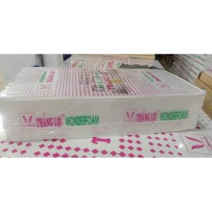 NỆM CAO SU WONDER FOAM GẤP 3 HÀNG CHÍNH HÃNG BẢO HÀNH 15 NĂM