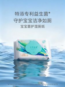TEN‑M JOURNEY 80pcs Pro‑Biotic Flushable Wet Toilet Wipes 99.9% Bacteria Removal Baby Wet Wipes