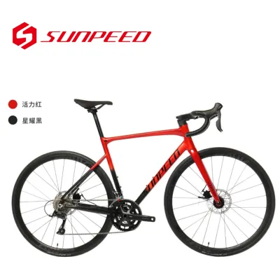 Sunpeed Speedbit ASTRO Astro astro disc brake bucket axle endurance frame unisex road bike