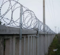 Combat Razor Wire / Concertina Wire – Heavy-Duty Military Barbed Fence, Anti-Rust & Long-Lasting | EC Universal. 