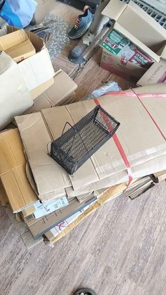 Buyer review video 2