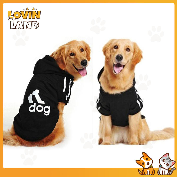 Golden retriever clothing and hot sale accessories