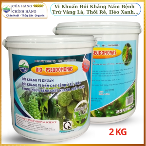 2Kg BIO PSEUDOMONAS Đối Kháng Nấm Bệnh Trừ Héo Xanh Vàng Lá Thối cổ Rễ - Bột Tan