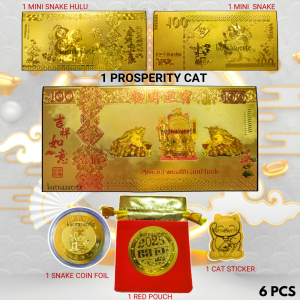 BSLS 6PCs Prosperity Set Lucky Charm for Business Success and Money 2025