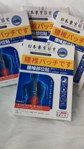 แผ่นรองเอวญี่ปุ่น โตเกียว แผ่นรองเอวทางเภสัชกรรม แผ่นรองความร้อนสำหรับหมอนรองเอว แผ่นรองเอวและขา แผ่นความร้อน แผ่นม็อกซิบัสชัน