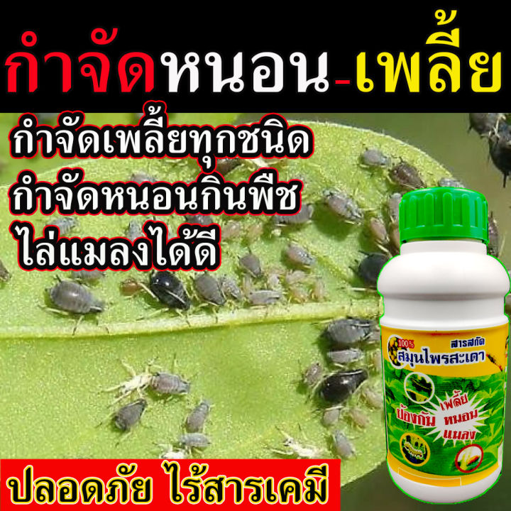 ยากำจัดแมลงพืชสมุนไพร 500g สูตรไร้สารเคมี