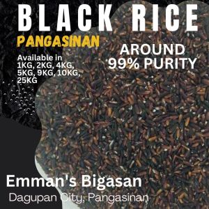 5KG Pack Black Rice Pangasinan [Emmans Bigasan]