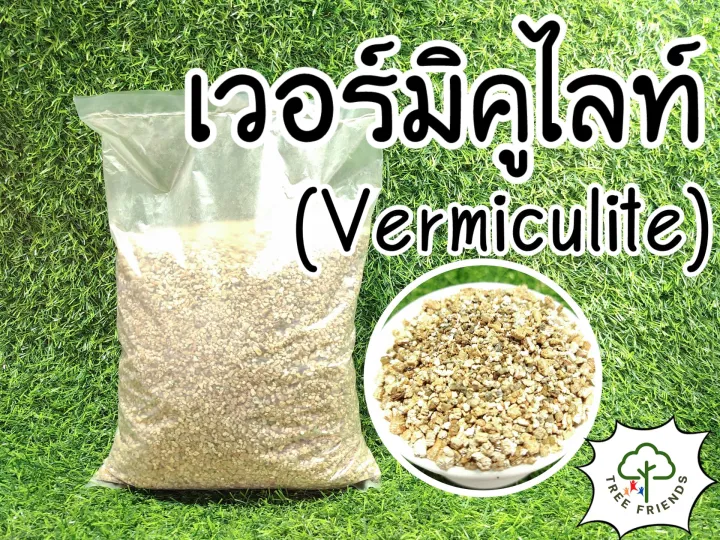 7 อันดับ วัสดุเพาะปลูกและอุปกรณ์ทำสวนยอดนิยม สำหรับคนรักต้นไม้ อัปเดตปี 2025