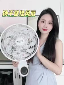 Wall fan Electric Air Circulation Fan Wall Mounted Remote Control Fan 12 Inch Timing on