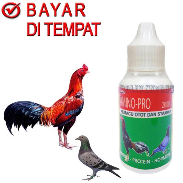 amino pro 2000 vitamin ayam jago obat burung dara merpati
