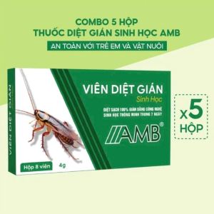 COMBO 5 Hộp viên diệt gián sinh học AMB an toàn hiệu quả nhanh chóng