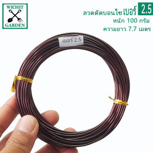 ลวดดัดบอนไซ น้ำหนัก 100 กรัม มีให้เลือก 5 ขนาด ได้เแก่ เบอร์1 เบอร์ 1.5 เบอร์2 เบอร์2.5 เบอร์3