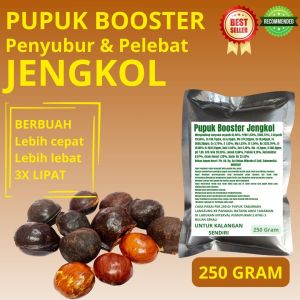 Pupuk Booster Jengkol / Obat Booster Jengkol / Pupuk Booster Jengkol / Pupuk Jengkol