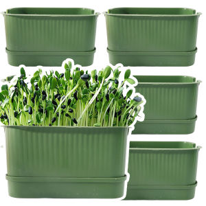 Household Sprouting Plastic Planting Pot / Bean Sprouts Seedling Tray / Garden Soilless Cultivation Seedling Pot