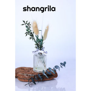Pengharum RuanganReed Diffuser Aromaterapi 50ml – Pengharum Ruangan Estetik dengan Stik Rotan & Vas Kaca Pengharum Ruangan Aromterapi Reed Diffuser 50ml Reed Diffuser Stik Rotan