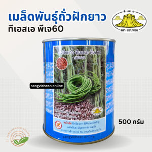 (ใหม่) เมล็ดพันธุ์ถั่วฝักยาว 500กรัม พันธุ์สามชุก ตรางอบทอง ถั่วฝักยาว ยาวมาก