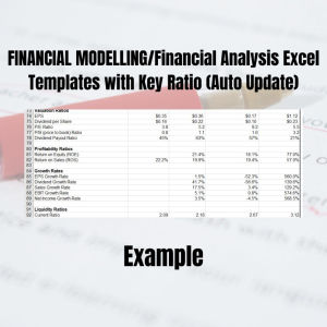 SHARE ESTIMATION - FINANCIAL MODELLING/FINANCIAL ANALYSIS EXCEL TEMPLATES WITH KEY RATIO (Auto Update)
