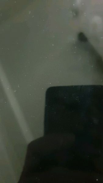 Buyer review video 2