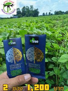 4Tree​ของแท้ โฟร์​ทรี​  1 - 10 ซอง สารเสริมประสิทธิภาพพืชสูตรอิออน ช่วยเร่งราก พืชโตเร็ว ทำให้พืชเขียวนาน ใช้ได้กับพืชทุกชนิด นวัตกรรมใหม่จากประเทศอิสราเอลของแท้100%