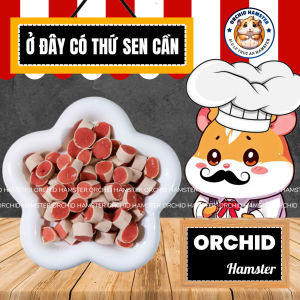 Thức Ăn Hamster Sushi Bò Cuộn Cho Sóc/Bọ/Nhím Và Thú Nhỏ Bổ Sung Đạm - Protein Cần Thiết