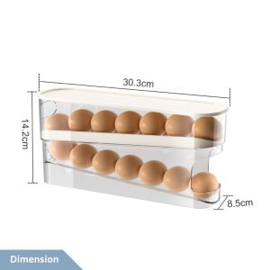 Easyhome.sg Double Layer Refrigerator Food Grade Egg Storage Box / Egg Container 8801