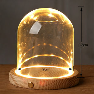 Glass Dome With Wooden LED Lights Base for Home Display DIY