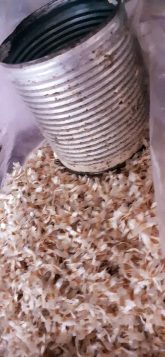 H%E1%BA%A0T%20GI%E1%BB%90NG%20N%C3%9AC%20N%C3%81C%20-%20Image%201