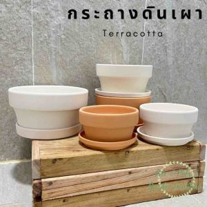 เคลื่อนไหวของกระถางก้นตื้น กระถางดินเผโปะ กระถางแคคตัส กระถางไม้โขด กระถางจัดสวนถาด กระถางแคคตัสทรงเตี้ย ระบายน้ำดี เนื้อกระถางเนียน สวยมาก