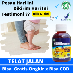 Obat Telat Jalan Anak Buat Anak Yang Belum Bisa Jalan Supaya Anak Bisa Jalan Vitamin Agar Anak Cepat Jalan Pelancar Sulit Jalan Solusi Anak Terlambat Berjalan Dan Bicara - Walatra Hexabumin Plus Albumin Ikan Gabus