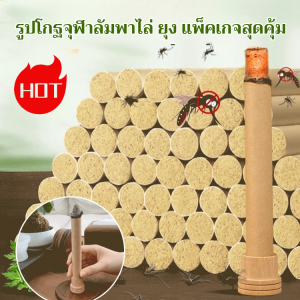 ยากันยุงจากสมุนไพรไทเกอร์ 80 เมตร สำหรับทุกคนในฤดูร้อน สะดวกใช้ที่บ้าน มีประสิทธิภาพสูง