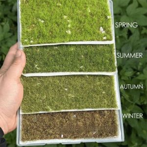 NOBLELYN Realistic Simulation Grass Miniature Grass Tuft Hand DIY Craft Material Mini Scale Model Accessory Model Landscape Turf Durable Nylon Sand Table Mat Model Making