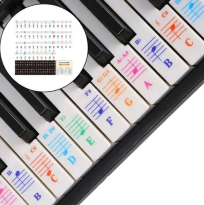 Piano Keyboard Stickers 88 76 61 49 Keys for Learning Piano Colorful Removable Stickers