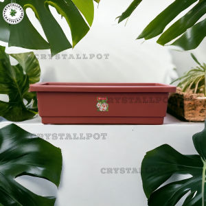 Pot Bunga Tanaman Persegi Panjang Rectanguler S Lion Star - FP 12 RECT FLOWER POT