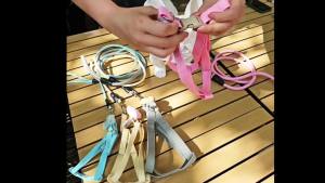 狗狗牵引绳遛狗绳狗链子小型犬泰迪猫咪牵引绳宠物胸背带可调节Dog leash dog walking leash dog chain small dog teddy cat leash pet chest strap adjustable