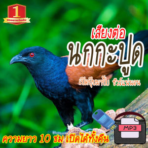 เสียงต่อ นกกะปูด นกกรดปูด นกกระปูด ต่อนกกรดปูด แฟลชไดร์ฟ USB เสียงดังฟังชัด เสียงดังฟังชัด100% เข้าง่ายติดง่าย GS33