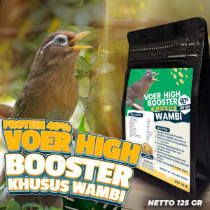 MAKANAN BURUNG WAMBIE | VOER WAMBIE JUARA LOMBA WAMBIE | EKSTRAK ULAT HONGKONG | PAKAN JUARA LOMBA WAMBIE | VOER PREMIUM | VOER GACOR SEHARIAN | MAKANAN BURUNG JUARA LOMBA | VOER HIGH BOOSTER PROTEIN 40% ( KHUSUS BURUNG WAMBIE) 125 GR