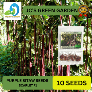 VALUE PACK (10 SEEDS) LONG PURPLE SITAW/OPV/SCARLET F1/PURPLE MAX COLOR/HYBRID/EASY TO GROW