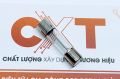 Cầu chì thủy tinh 10A 250V 5x20mm (20c). 