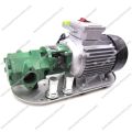 Máy Bơm Dầu Nhớt Bánh Răng 220V WCB-100 | Bơm Dầu WCB100. 