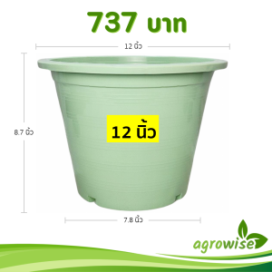 กระถาง กระถางต้นไม้ กระถางพลาสติก เบอร์ 12 นิ้ว สีเขียวพาสเทล 25 ใบ ชิ้น อัน