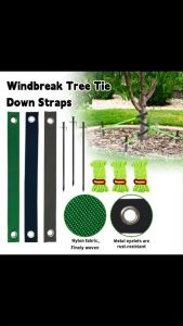 Nylon Tree Windproof Support Straps Professional Wind Resistance Seedling Protection Anti-bark Damage树木防风保护带