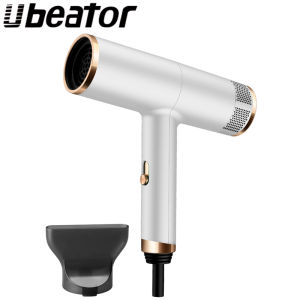 New styler Home Powerful ElectricHair Blower Portable Hairdryer Anion Hair Dryer Negative Ion hair care Professinal Quick Dry