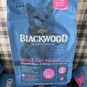 BLACKWOODADULTCAT/INDOOR/ORIGINAL/KITTEN ➡️ 6kg