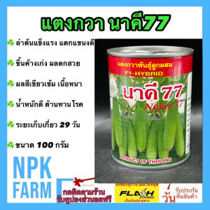 แตงกวา นาคี77 [ ขนาด 100 กรัม ] หมดอายุ 02-2570  ลอตใหม่ ผลสีเขียวเข้ม ขึ้นค้างเก่ง ผลดกสวย  เนื้อหนา หวานกรอบ ผลยาว 13 ซม. ขายง่าย อายุ 29 วัน