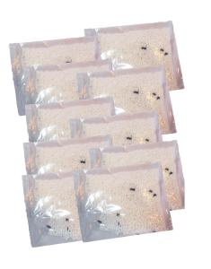 10packs 230g - Refill 230 grams 500ml for Home Dessicant 230g Dry Box Moisture Absorber and Dehumidifier Refill Set of 10