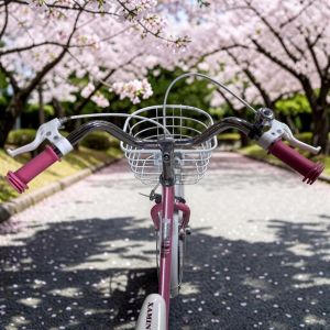 Ladies bike 537 size 20 tire bicycle for girls ladies