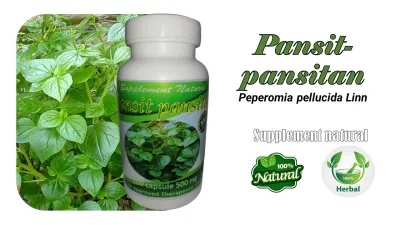 pancit pansitan traditional herbal medicine prostate management/