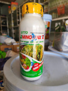 KÍCH THÍCH TĂNG TRƯỞNG AMINOMAX 2 - nặng hạt lớn trái