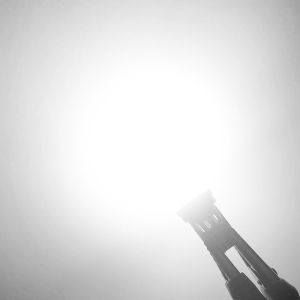 AUXITO 2Pcs T10 W5W Led Car Light T10 Led 194 168 2825 Led Light Bulb For Car Interior Dome Light Parking Light